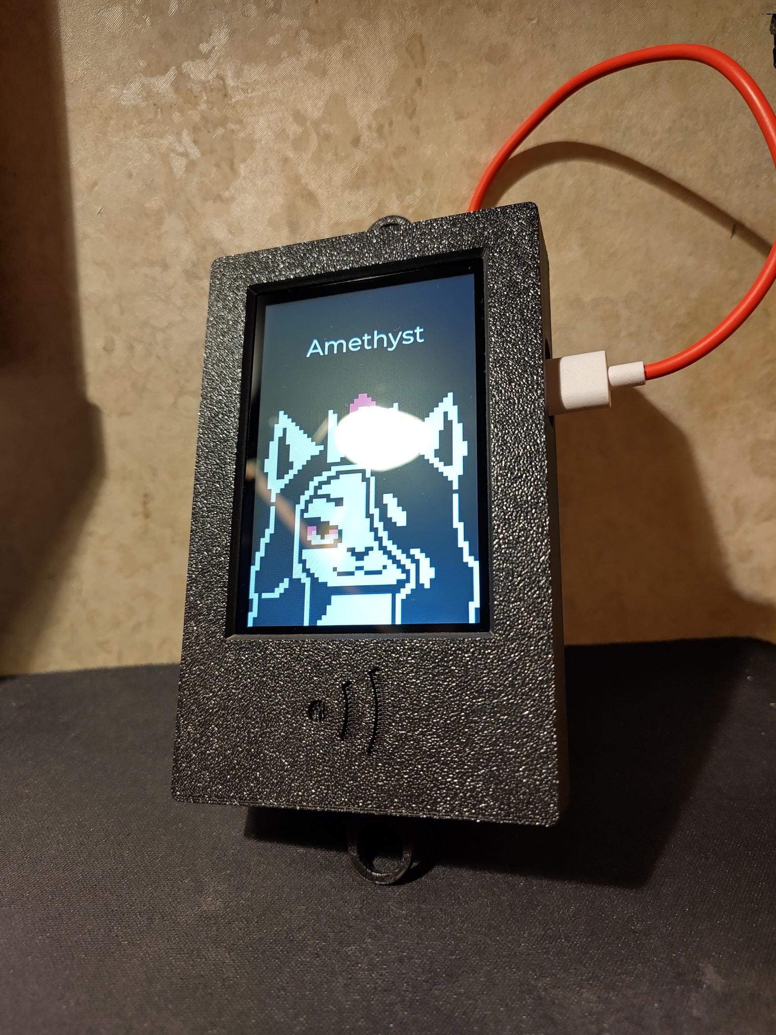 Picture of the device